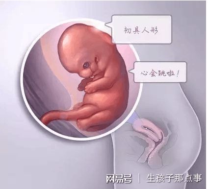 液氮存储